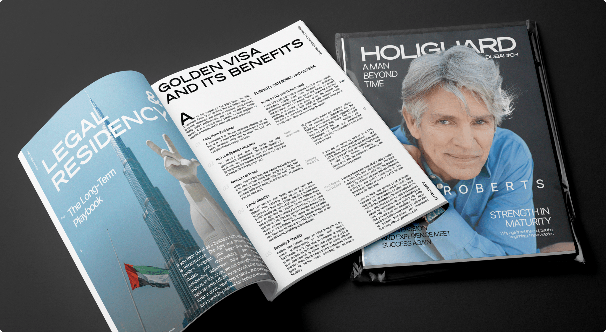 Holiguard: Packaging