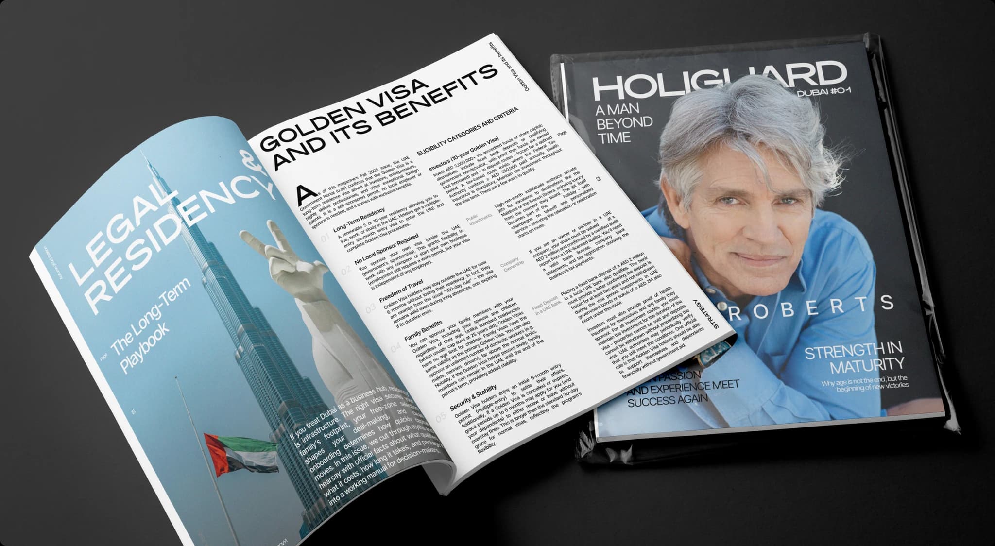 Holiguard: Packaging
